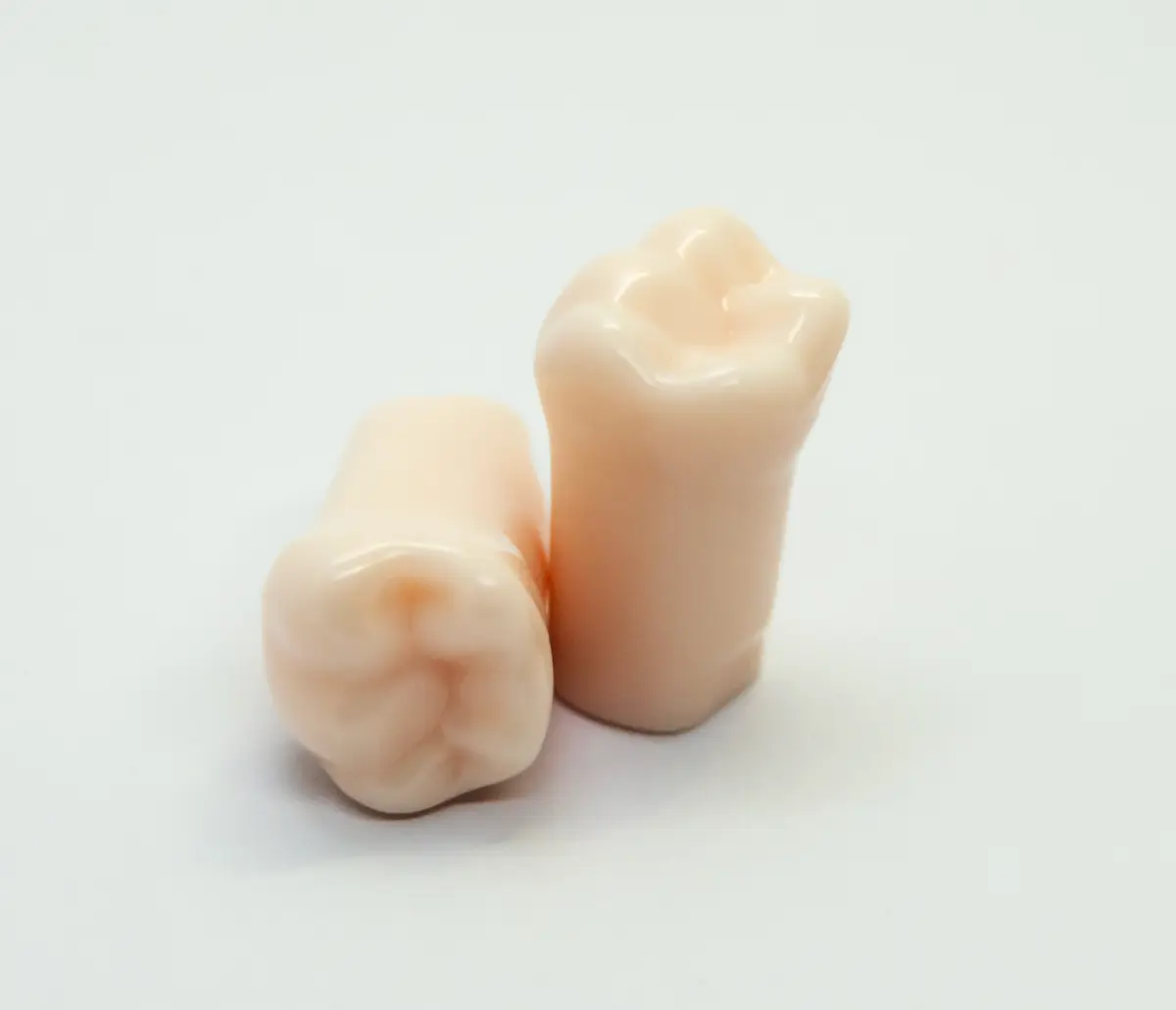 Phantom Teeth Phantom Teeth